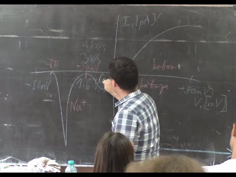 Видео: Акционен потенциал