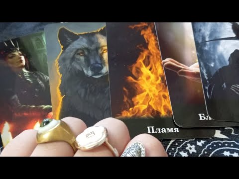 Видео: СРОЧНОЕ СООБЩЕНИЕ