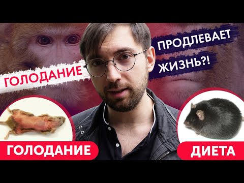 Видео: Голодание продлевает или СОКРАЩАЕТ жизнь?! Разбор исследований