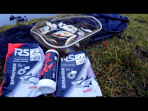 Видео: ловля некрупной рыбы в середине ноября на водохранилище Вяча