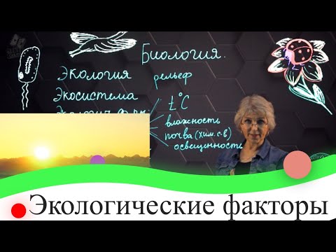 Видео: Экологические факторы. 7 класс.