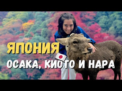 Видео: Япония: Осака, Киото и Нара | Япония за пределами Токио