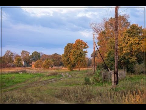 Видео: 27 октября.
