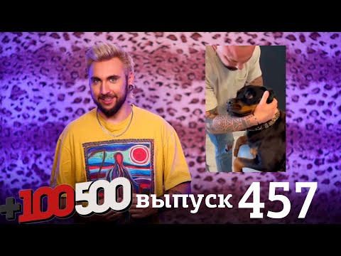 Видео: +100500 | Выпуск 457