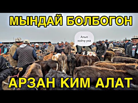 Видео: Жалал абад базары арзан болут талашып кетти 😱🥶#жалалабадмалбазары