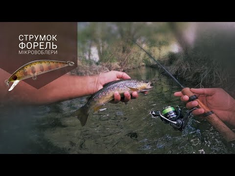 Видео: З ультралайтом на струмку. ФОРЕЛЬ та воблерки.