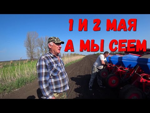 Видео: Заканчиваем посев Подсолнечника Nussed / МТЗ 1025  сеялка TCМ- 4150 а/Работа в майские Праздники!