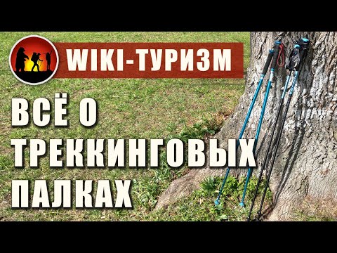 Видео: Как выбрать треккинговые палки: материал, настройка [2021]