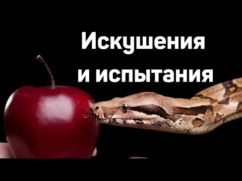 Видео: Искушения и испытания   Д.Самарин  МСЦ ЕХБ