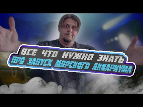 Видео: Все что нужно знать про запуск морского аквариума