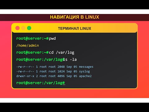 Видео: Linux навигация по каталогам - абсолютные и относительные пути на практике