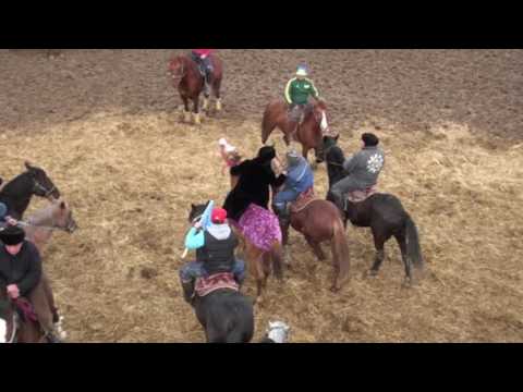 Видео: Еркін Нұржановтың көкпары
