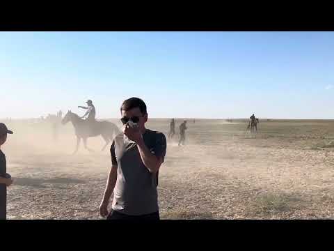 Видео: 20 сентября 2023 г.