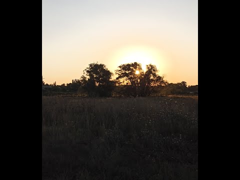 Видео: 6 сентября.