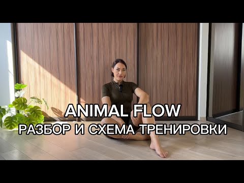 Видео: 2 сентября 2025 г.