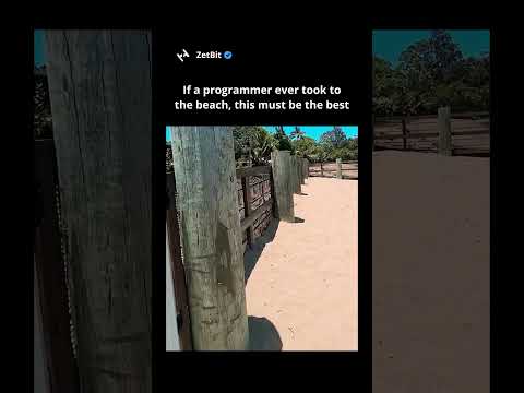 Видео: Если программист когда-либо выходил на пляж, то это был лучший #программист #кодирование #разрабо...