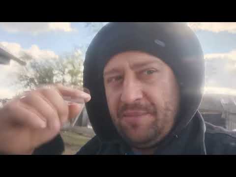 Видео: Работа по хозяйству: переселил козлят, ждем поросят.