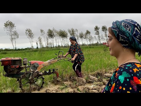 Видео: День на ферме с моим отцом | Деревенская жизнь