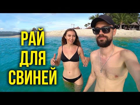 Видео: Рай ДЛЯ СВИНЕЙ На САМУИ - Мы в ШОКЕ, Чудо Остров в Таиланде / Нужна Липосакция, Берем КРЕДИТ? 🔥