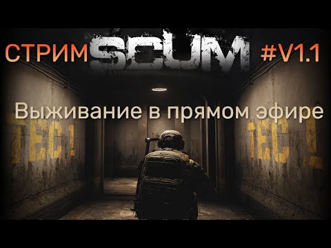 Видео: #SCUM v1.1 Выживаем в прямом эфире. Официальный соло сервер #ScumGame  #Live #Pvp #Pve #Стрим