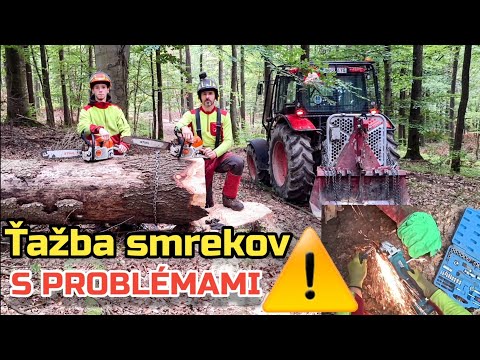 Видео: Заготовка сухих елей с сыном Томашем, Неожиданная проблема с тросом лебёдки, Amles, Stihl 400.1