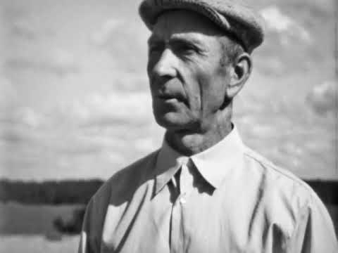 Видео: Комбайновая уборка льна