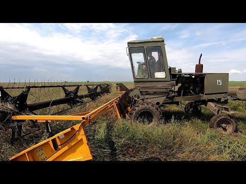 Видео: Утром сенокос эспарцета а вечером уборка пшеницы