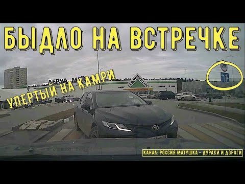 Видео: Быдло на встречке #146! Подборка на видеорегистратор!