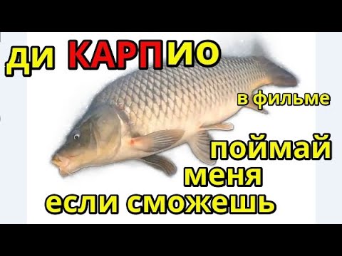 Видео: Зимняя рыбалка на Карпа .  Сезон 2024 -2025 г. Декабрь. Лёд встал !!!