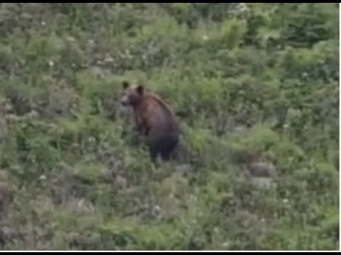 Видео: Девятый ключ Советская Гавань