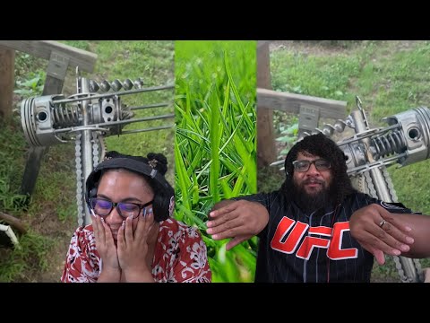 Видео: Инструмент, который нужен каждому в доме! | Ежедневная доза интернет-реакций