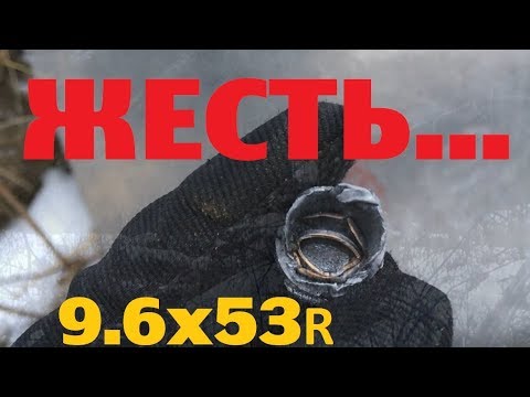 Видео: ЖЕСТЬ ТЕСТ |ВПО 221| 9.6х53R Ланкастер