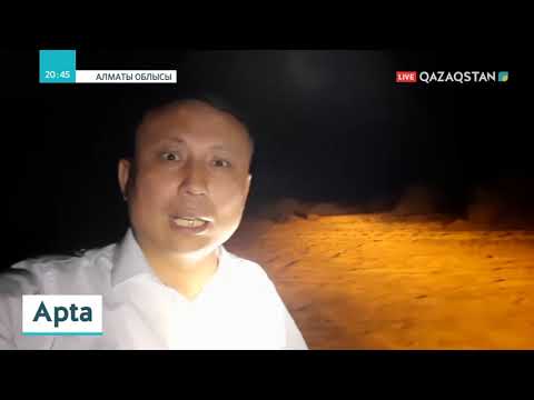 Видео: Іле Балқаш резерватында Тұран жолбарысының популяциясын жаңғырту жұмыстары жүріп жатыр