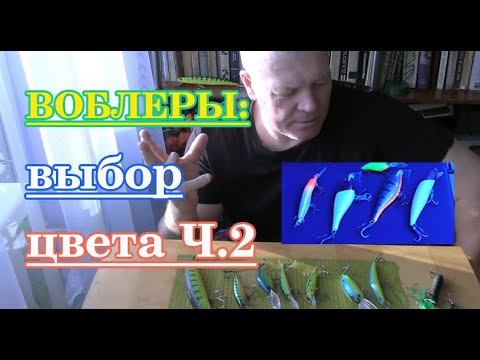 Видео: Выбор цвета приманок. Часть 2 - Нюансы.