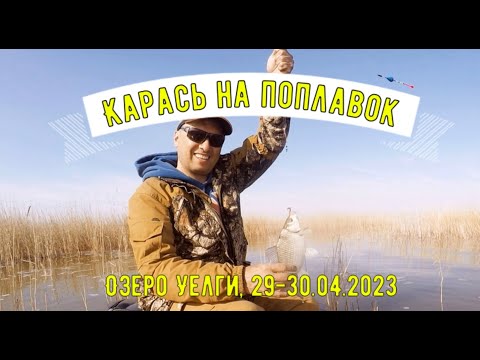 Видео: Рыбалка на поплавок. Ловля карася в камыше. Озеро Уелги, 29.04.2023. День 1-й.