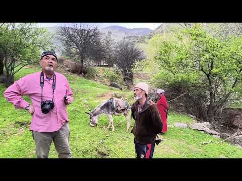 Видео: Весна в Каратаге | Цветение гор, каньоны и водопады | По следам Мирзо Турсунзода