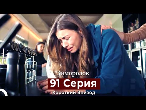 Видео: Зимородок 91 Cерия (Короткий Эпизод) (Русский дубляж)
