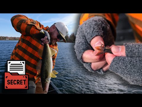 Видео: Секретный трюк с крюком на хвосте для оснастки падающего судака