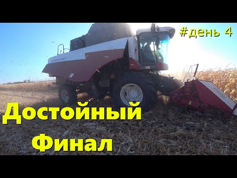 Видео: ДОСТОЙНЫЙ ФИНАЛ Уборки Кукурузы 2023 /  Результат Порадовал /КСС 5291 Превзошел все ожидания