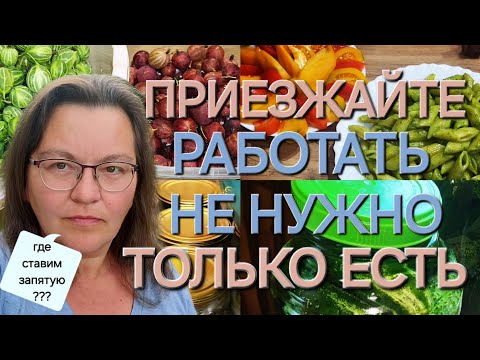 Видео: Моя жадность🤬/Я сказала:"мне лень!"/Сезон заготовок🫙открыт/ОДНА В ДЕРЕВНЕ👱🏼‍♀️