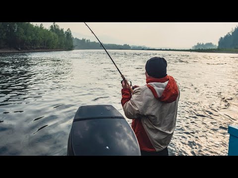 Видео: Наш фильм про реку «Лямпушка» и её красоты 😍😍😍 !!!