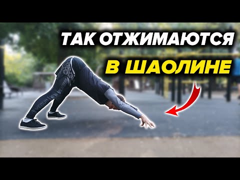 Видео: МОЩНЫЕ ШАОЛИНЬСКИЕ ОТЖИМАНИЯ