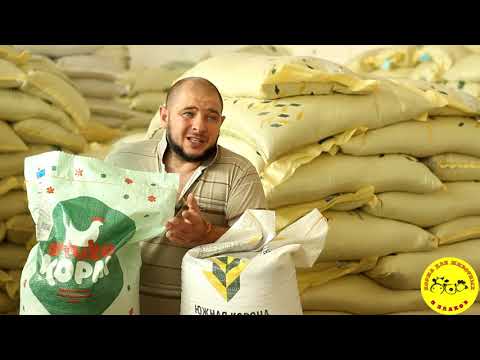 Видео: ЮЖНАЯ КОРОНА запускает новую линейку кормов БРЮХОКОРМ