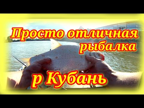 Видео: Лещ на реке Кубань. Просто отличная рыбалка.