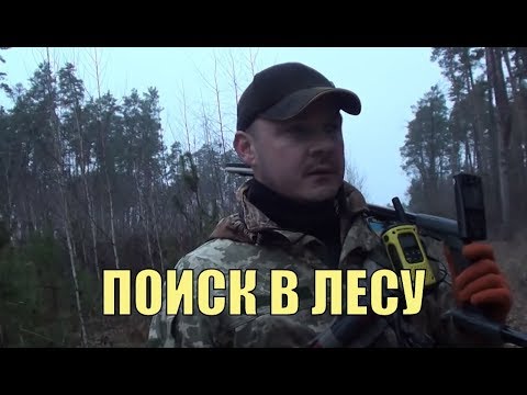 Видео: Поиск в лесу. Скифы. В поисках золота UA!
