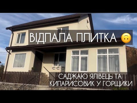 Видео: Відпала плитка. Саджаю ялівець та кипарисовик у горщики.