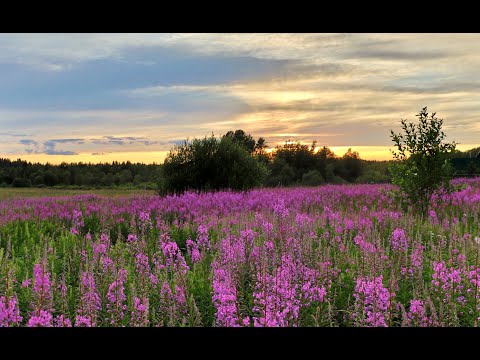 Видео: "ЕВГЕНИЙ ОНЕГИН"... (Фото Юрия Пышного (СПб) - Партия Ленского - Иван Козловский)