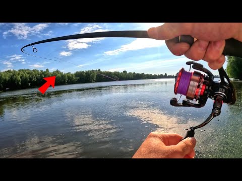 Видео: ОСЬ ЩО ЛОВИТЬСЯ ВЛІТКУ !! Окунь, судак, щука... і шашлик )