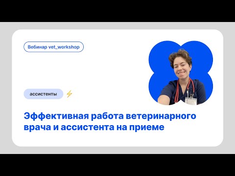 Видео: Эффективная работа ветеринарного врача и ассистента на приеме