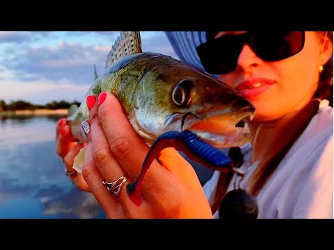 Видео: ЛОВИМ КЛЫКАСТЫХ В +35!! СУДАК СЕЗОНА 2024 НА ИРИКЛЕ!